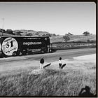 19 tips to survive Thanksgiving sober