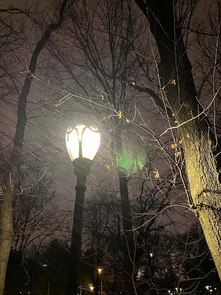 different photos of snow in Central Park & Katya looking happy