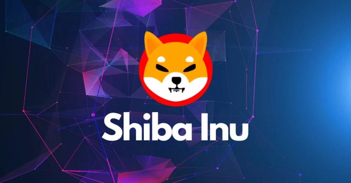 shiba inu