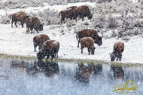 Reflection Images by Daryl L. Huntet