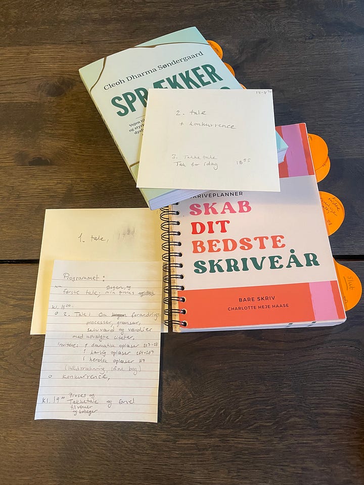 Sprækker af lys bogreception