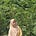 Junia Jannah's avatar