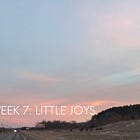 When You Need A Little Joy