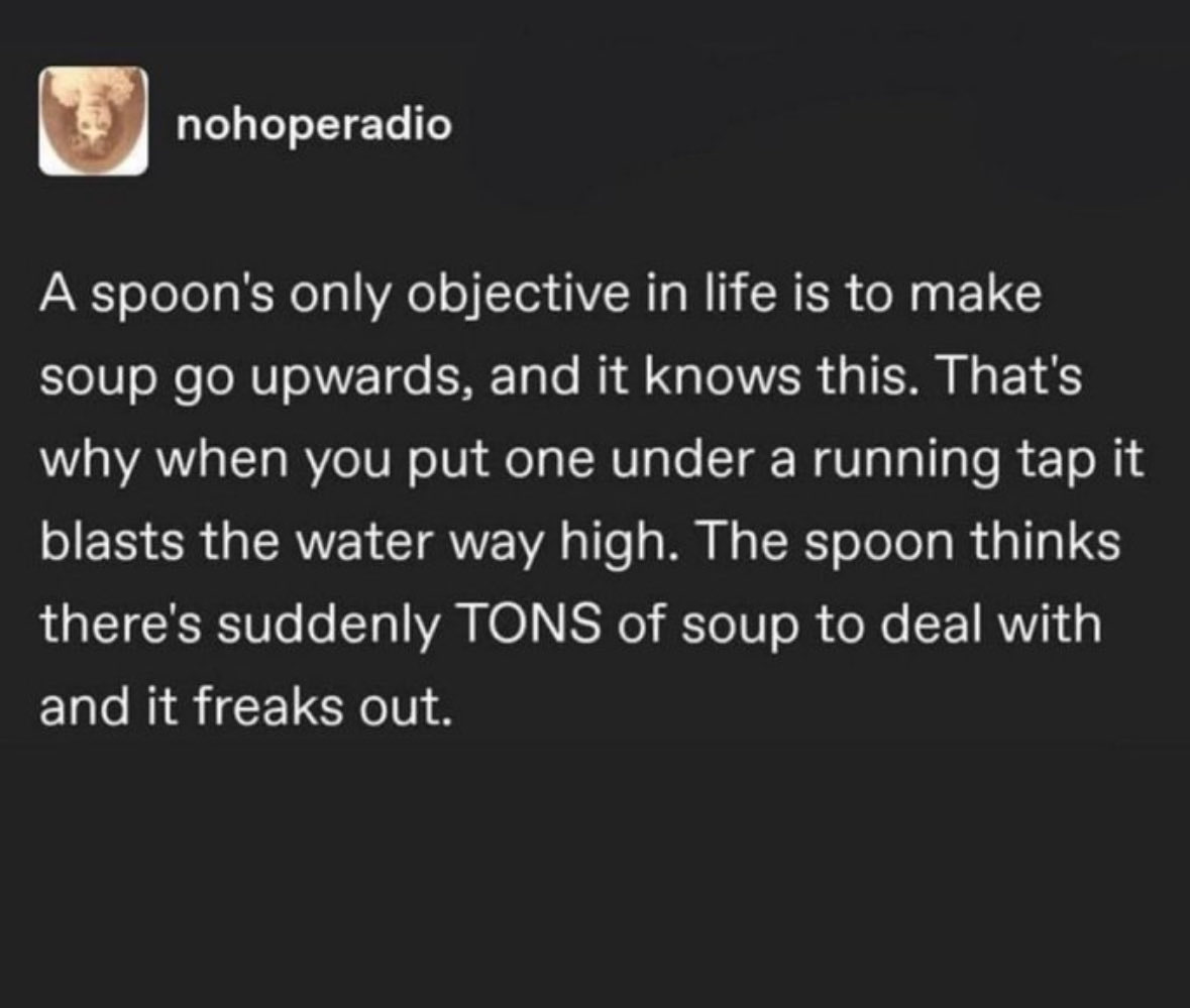 A tumblr post from nohoperadio that says, "A spoon's only objective in life is to make soup go upwards, and it knows this. That's why when you put one under a running tap it blasts the water way high. The spoon thinks there's suddenly TONS of soup to deal with and it freaks out.