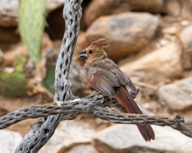 2025-531-MBY-76-Edit.jpg 2025-531-MBY-76-Edit.jpg