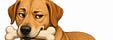 Dawgbytes