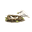 Avatar de Abiertamente