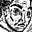 Nash Holcomb's avatar