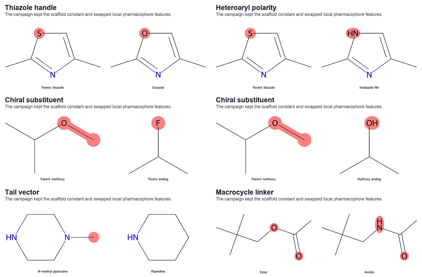 Bioisostere replacement motif structures