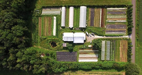 Découvrez une micro-ferme en maraîchage bio productive et rentable !