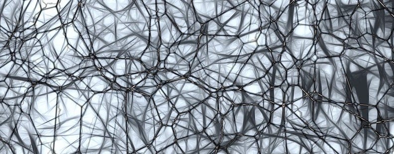 7 Characteristics of complex systems | More Beyond