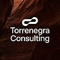 Torrenegra Consulting's avatar