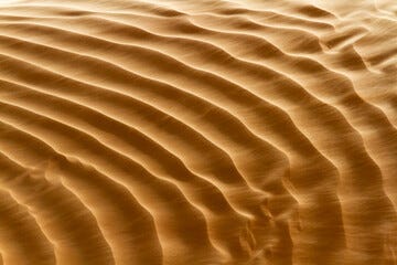 Abstract background. Sand dune texture close-up view. Shifting sand fines in the wind. Sahara, Africa Abstract background. Sand dune texture close-up view. Shifting sand fines in the wind. Sahara, Africa