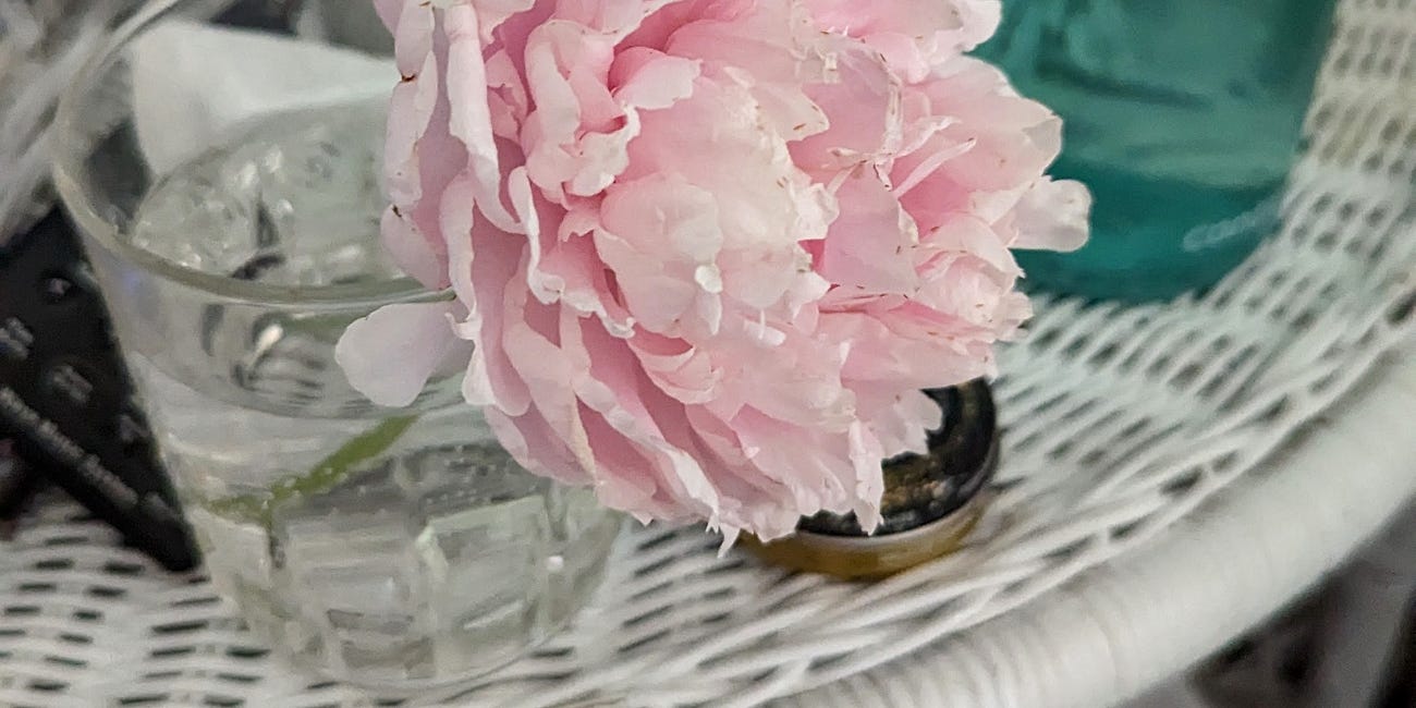 The Last Peony