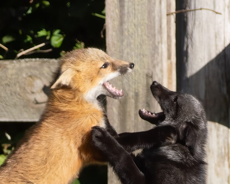 20250610-SJI3-395-Edit 2.jpg 20250610-SJI3-395-Edit 2.jpg