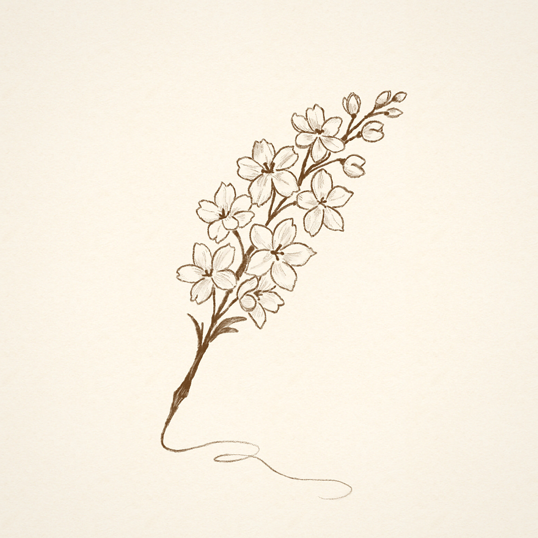 letters from larkspur