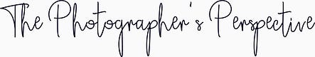 The Photographer’s Perspective