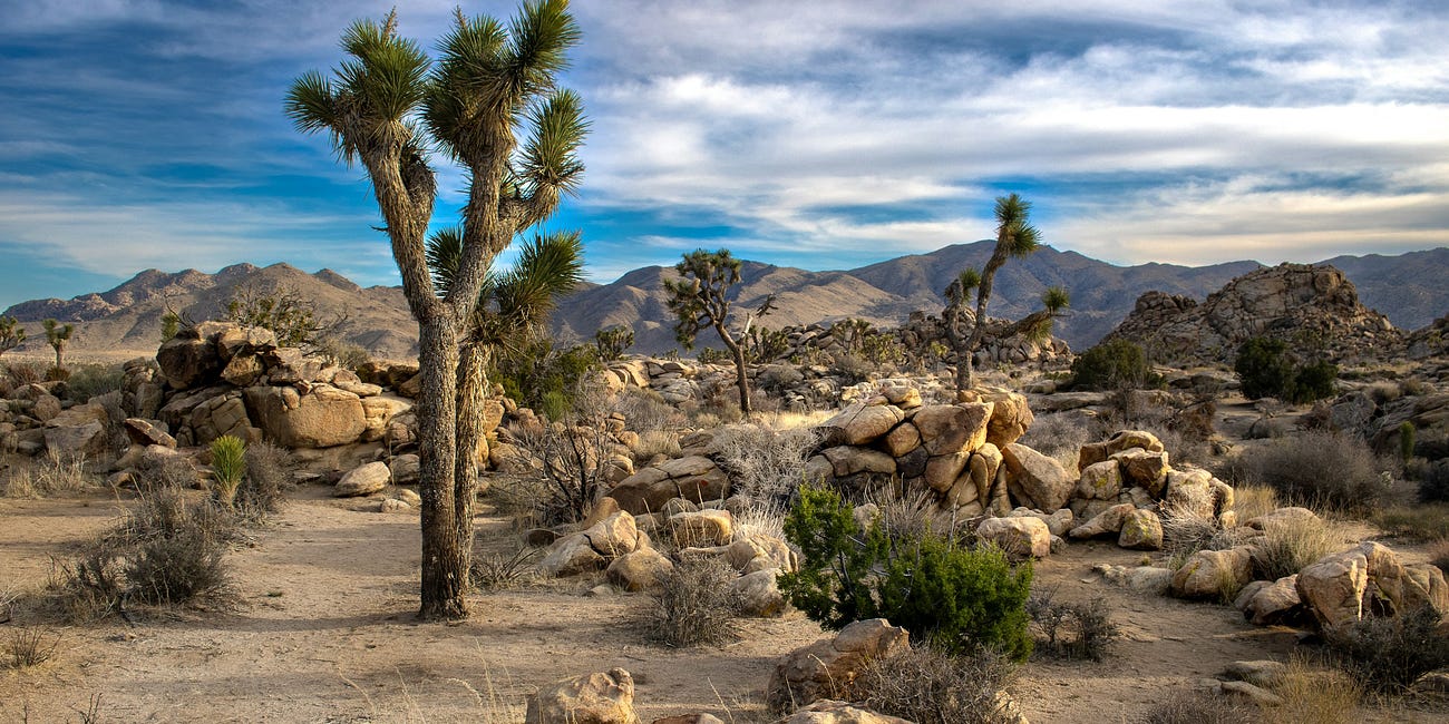 God Will Provide an Escape