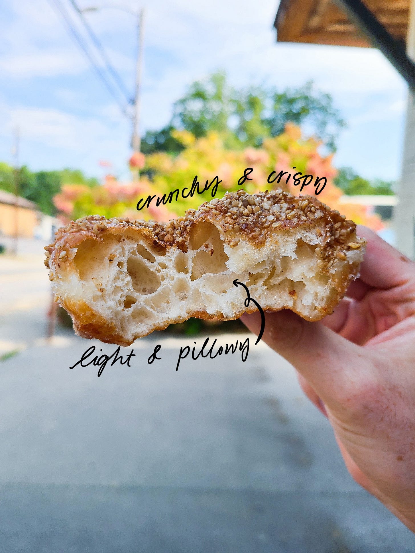 Hole Doughnuts cross section close up