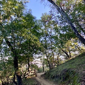 Waking up Running
