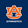 X avatar for @AuburnGym