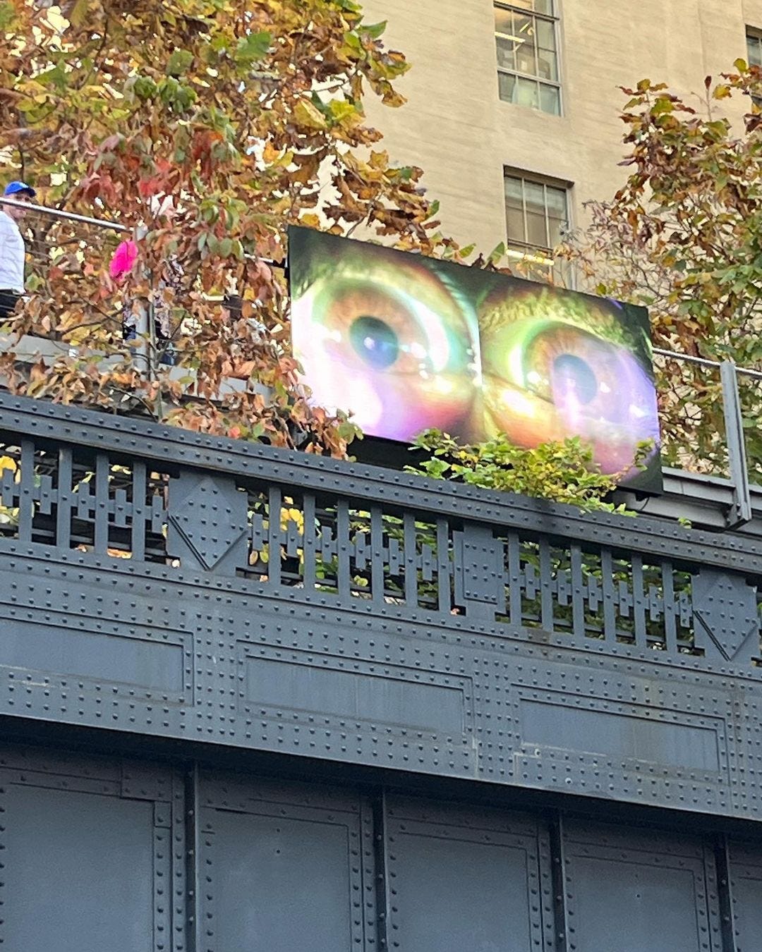 “Observer, Observed” by Julia Phillips
