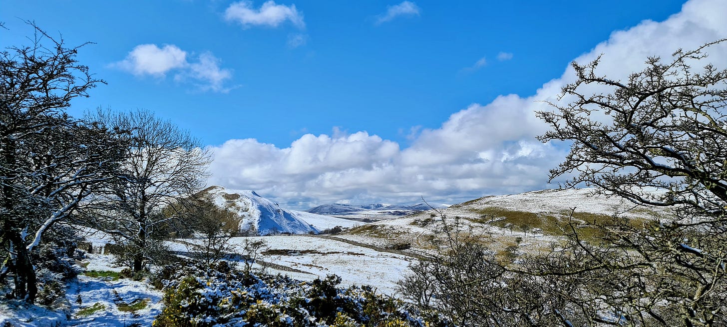 A view of Birket Hill, Cumbria, in the spring snow