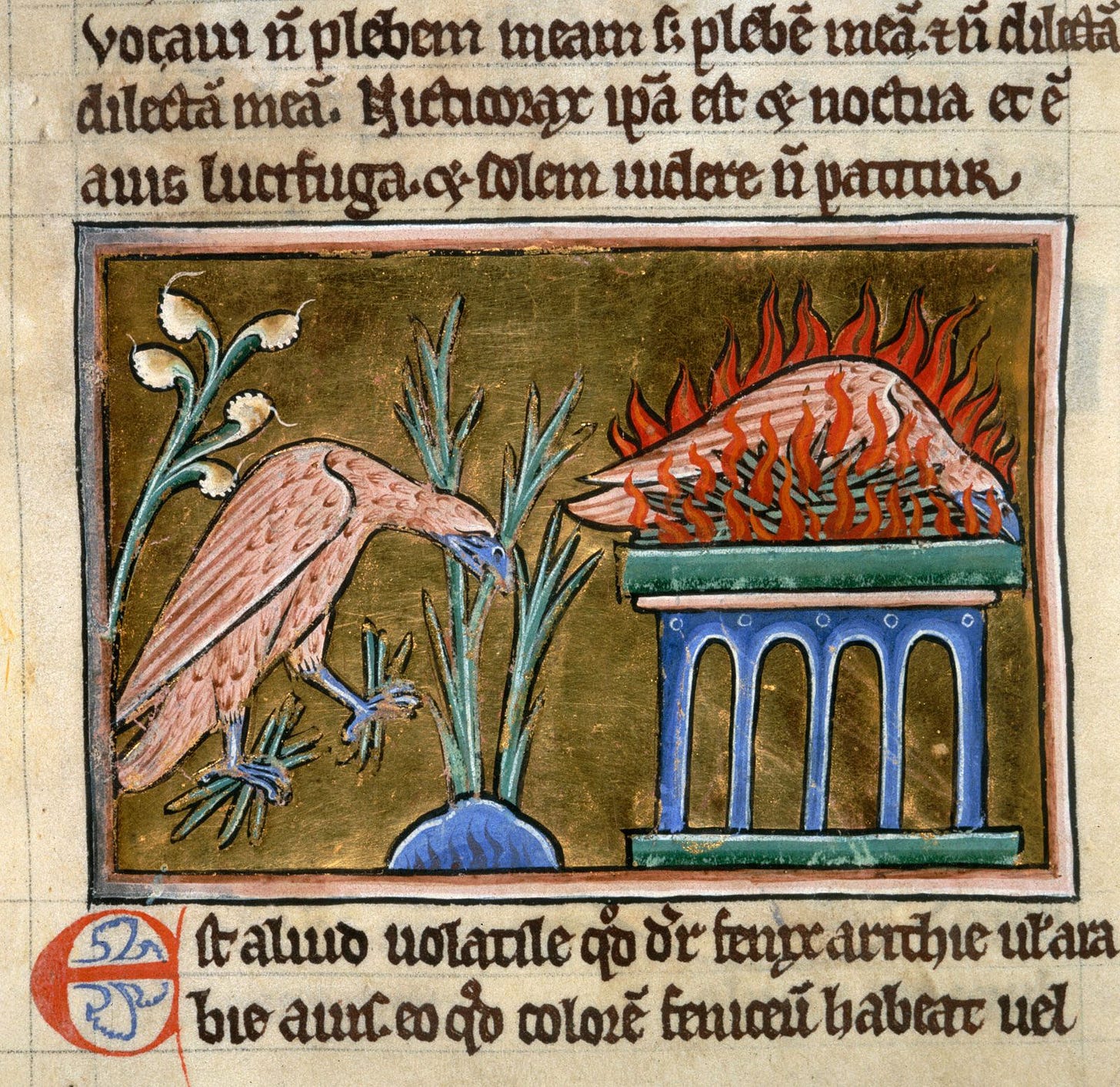 Phoenix | Egyptian, Greek & Roman | Britannica