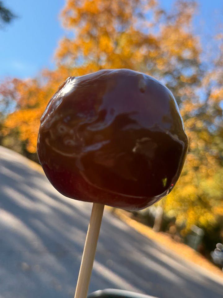 zinnia field, walden pond, sandwich, caramel apple