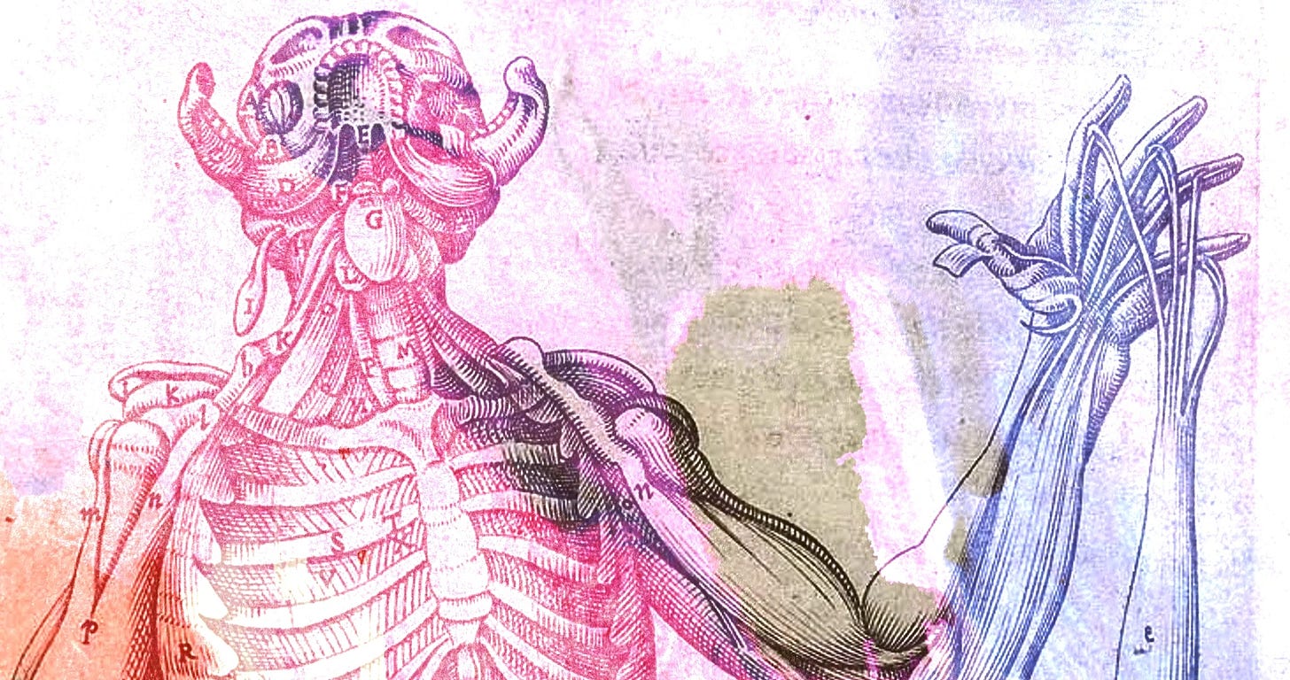 Image from Doug Dillaman's 2024 sci-fi mockumentary Gut Instinct. Image from Doug Dillaman's 2024 sci-fi mockumentary Gut Instinct.