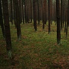 Ep. 74 Ievads psihoanalītiskajā diagnostikā