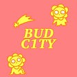 bud c1ty's avatar