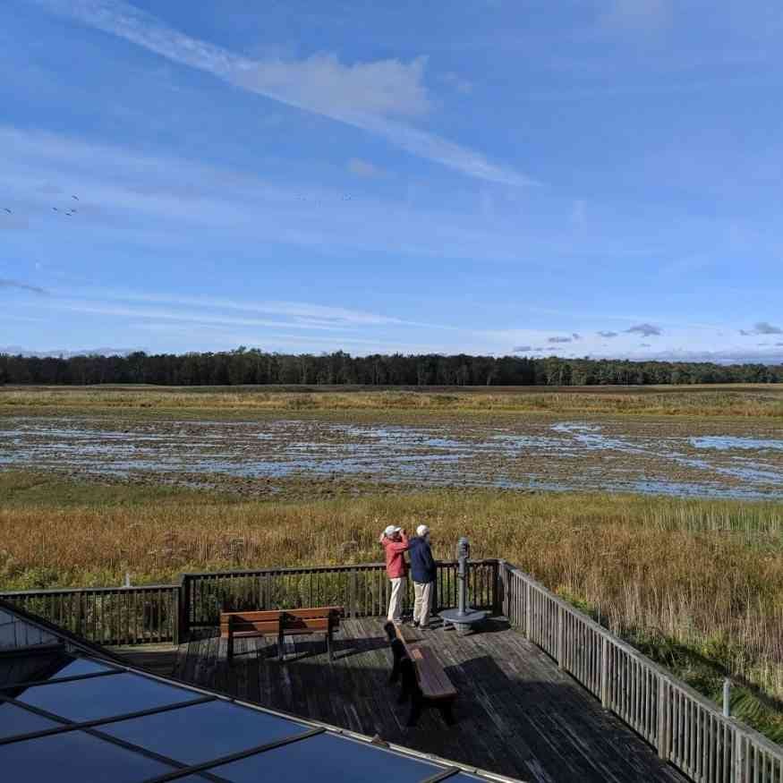 Montezuma NWR Montezuma NWR