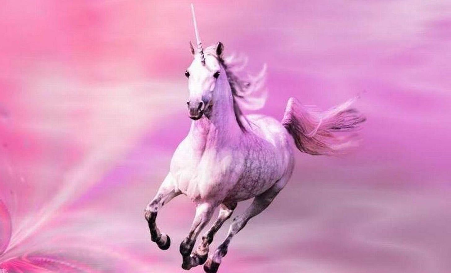 Realistic, if corny, illustration of pink unicorn galloping majestically toward you.
