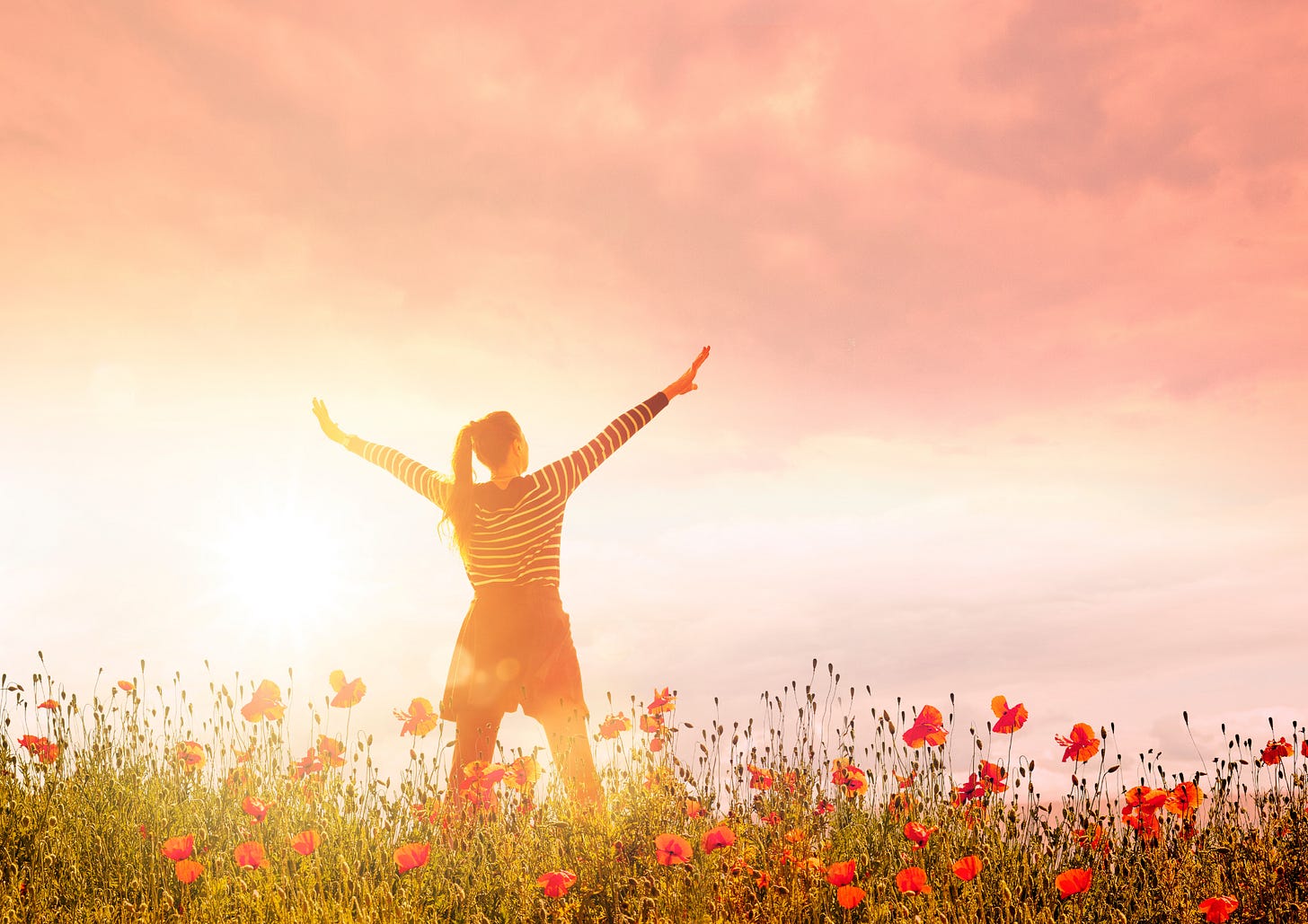 renew and rise program