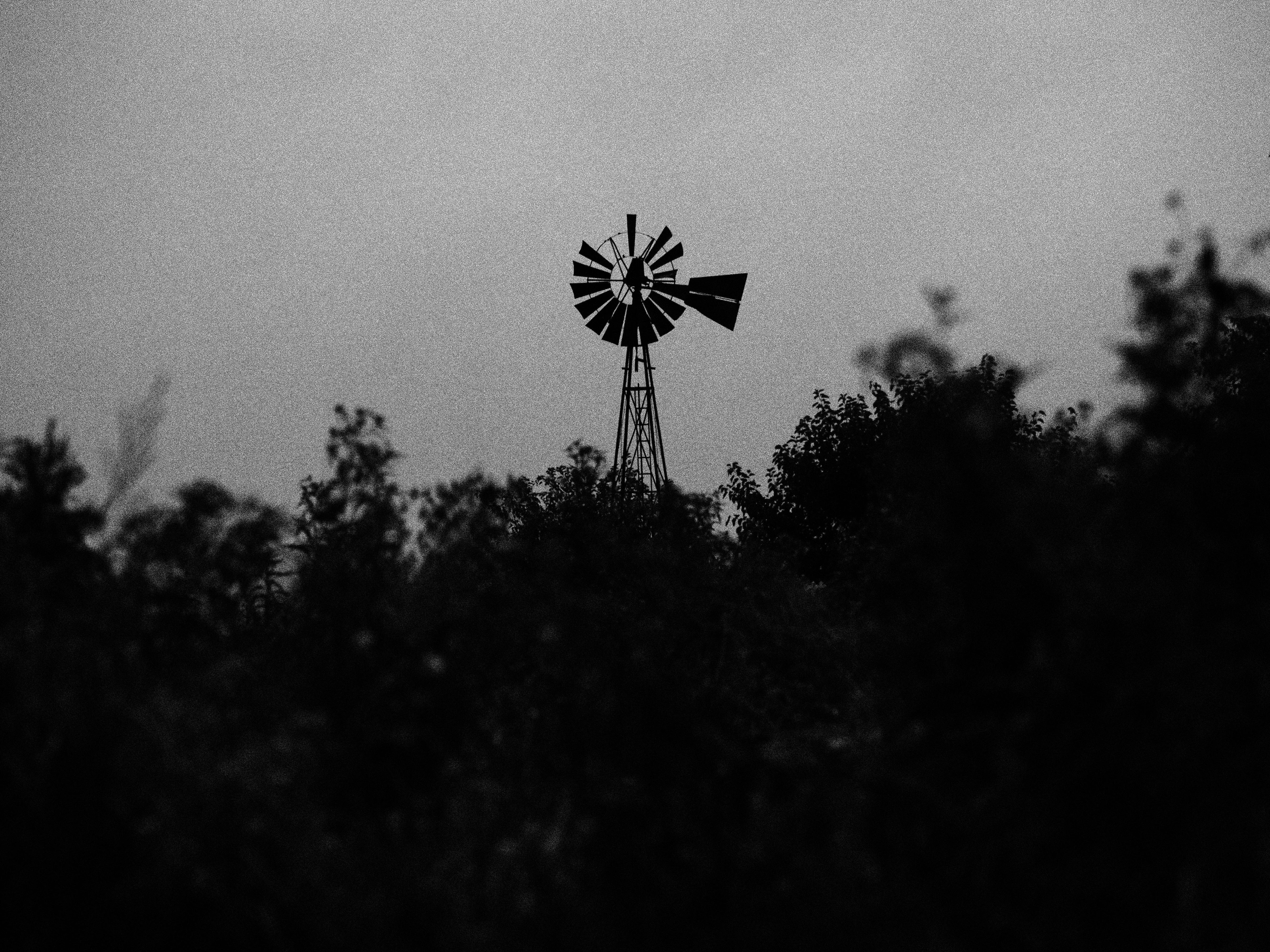 Embracing Grain and the Power of Nostalgia - by Jerred Z