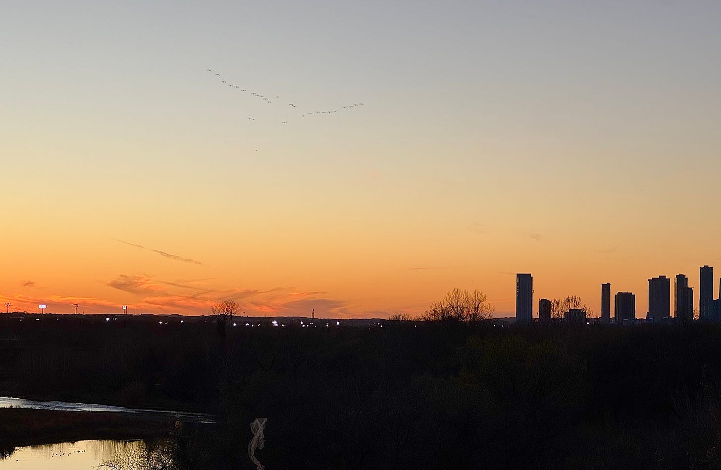 Sunset over Colorado River with migrating birds and Austin skyline