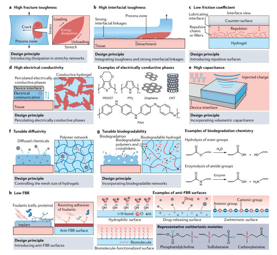 Hydrogel Interfaces for Merging Humans and Machines - MIT Research Review