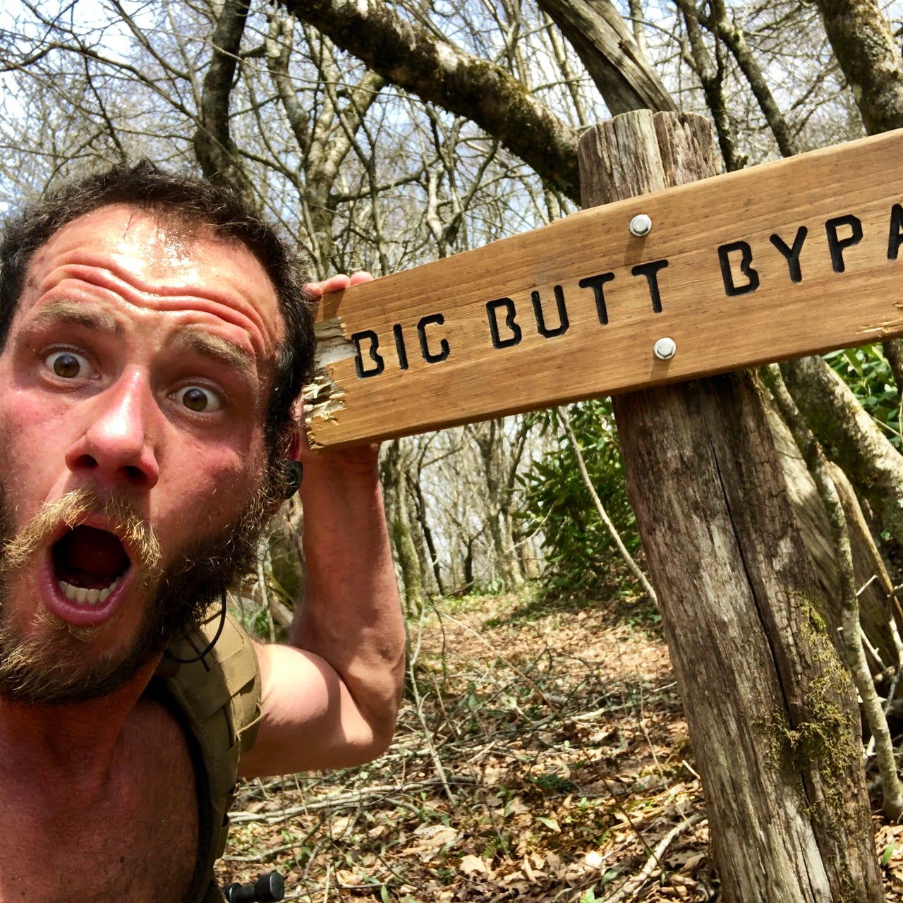 The Political Junkie