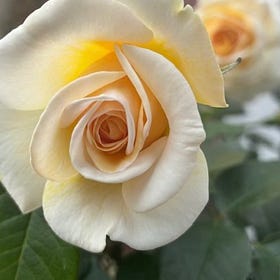 A Heep of Forgiveness