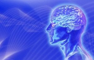 mindbrain