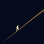 User's avatar