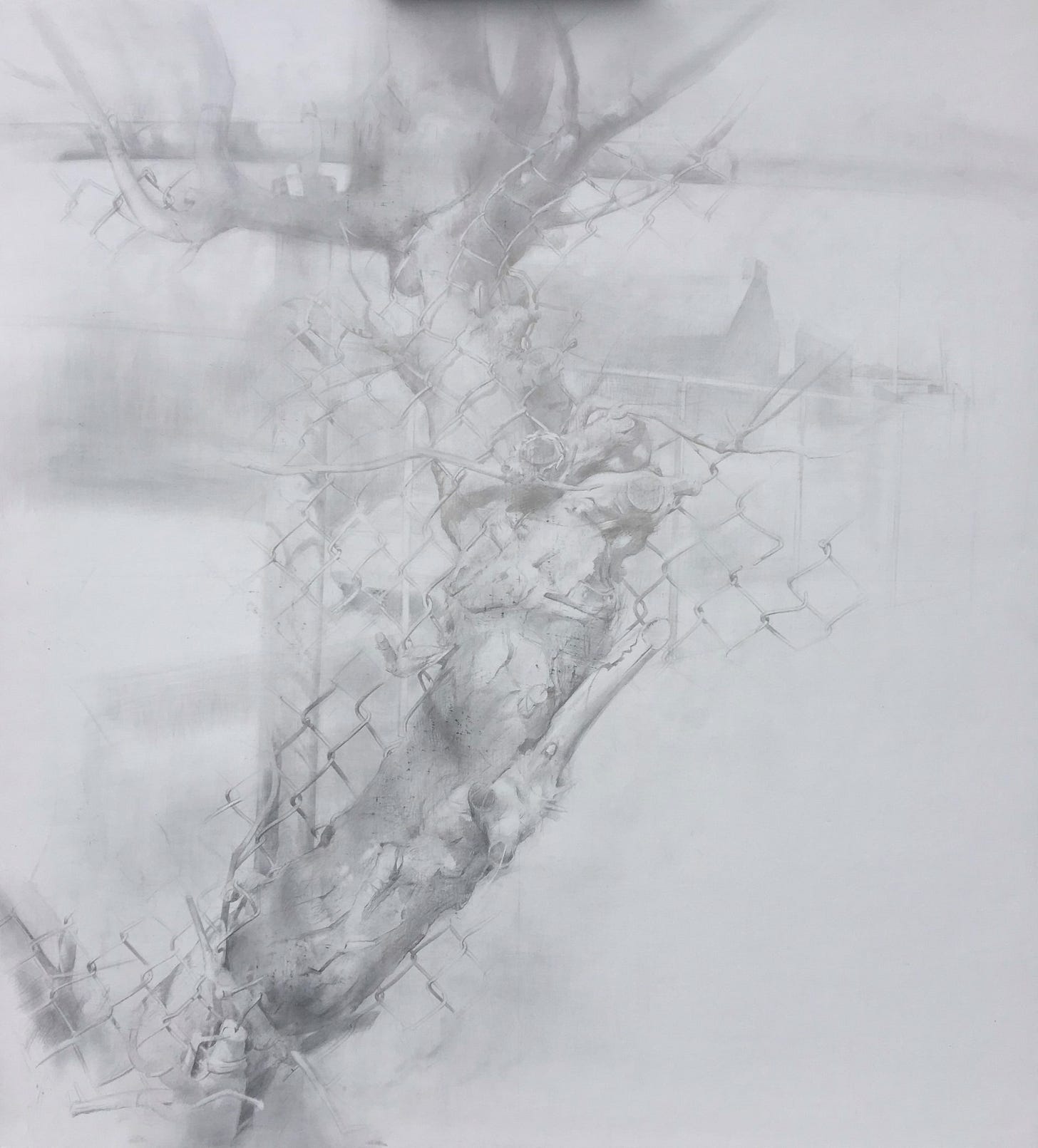 Tree of St. Sebastian Silverpoint by Dale O. Roberts