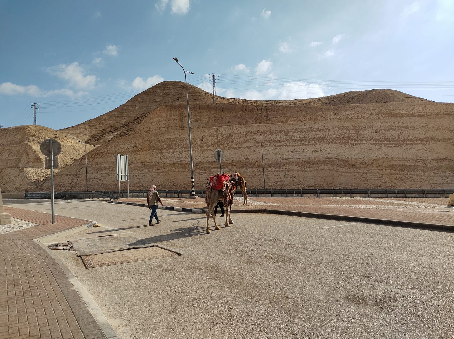 Judaean Desert, Israel