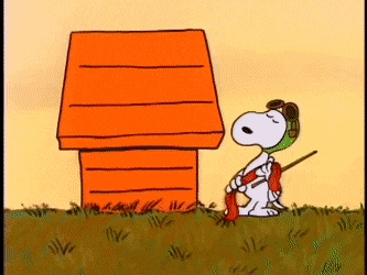 Baron Versus Beagle - The Original "Dogfight" GIF | Gfycat
