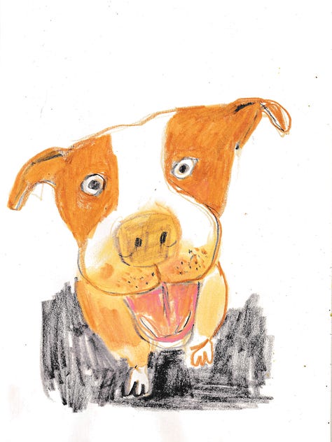 three dogs drawn by three different artists