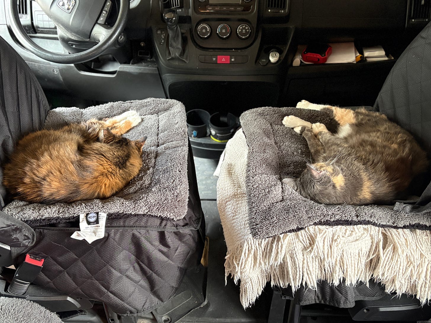Two cats blissfully sleeping on van swivel chairs covered in blankets. Two cats blissfully sleeping on van swivel chairs covered in blankets.