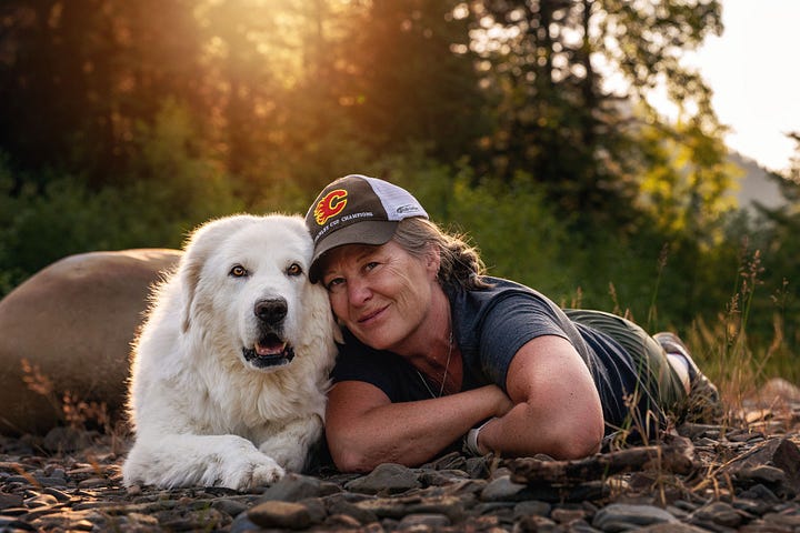 two different large whit dogs with woman in blue vest and woman in ball cap