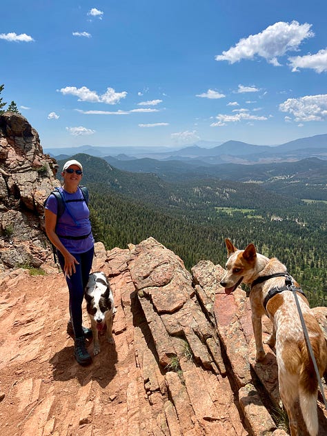 Two dogs hiking in the mountains with their humans