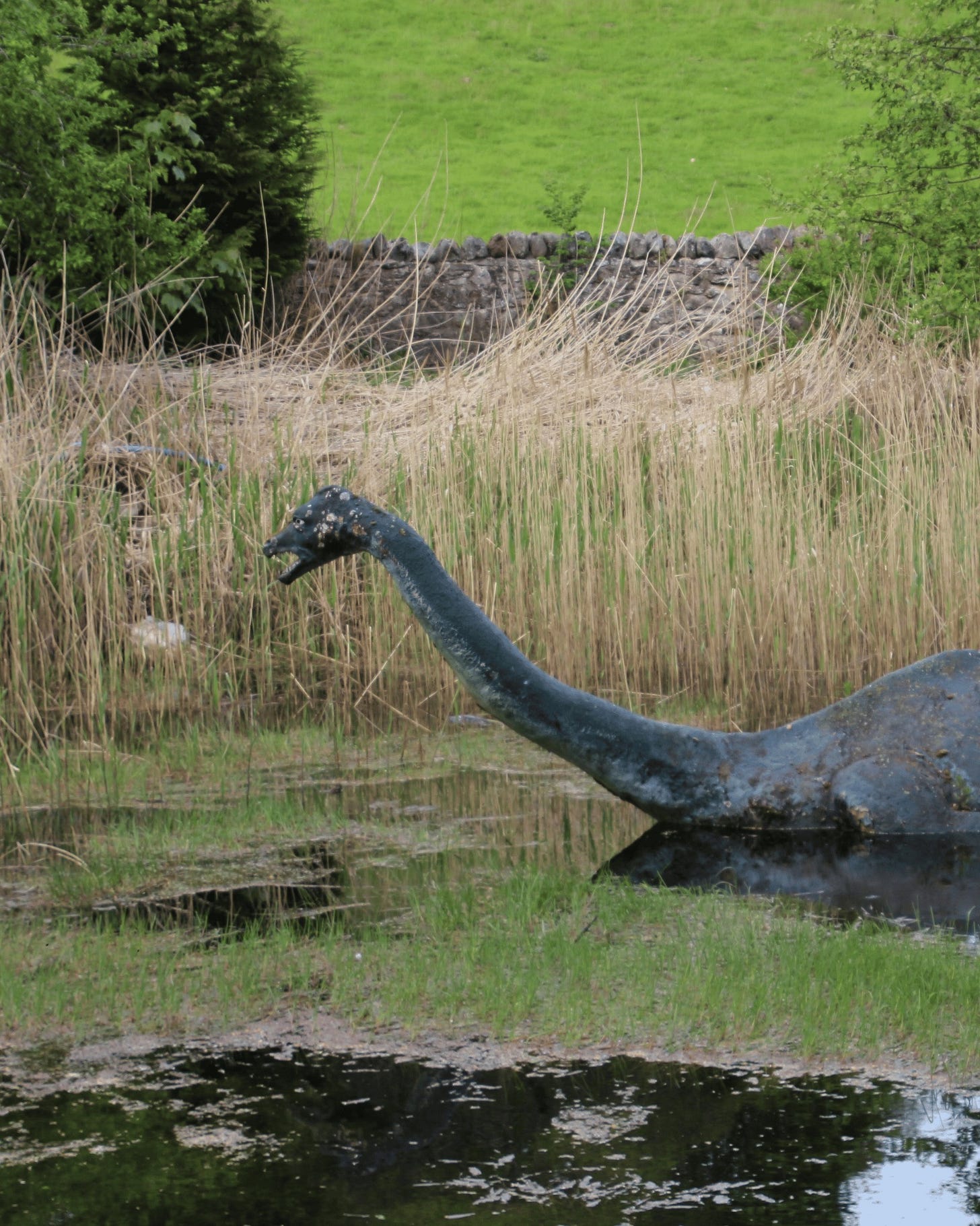 No photo description available.